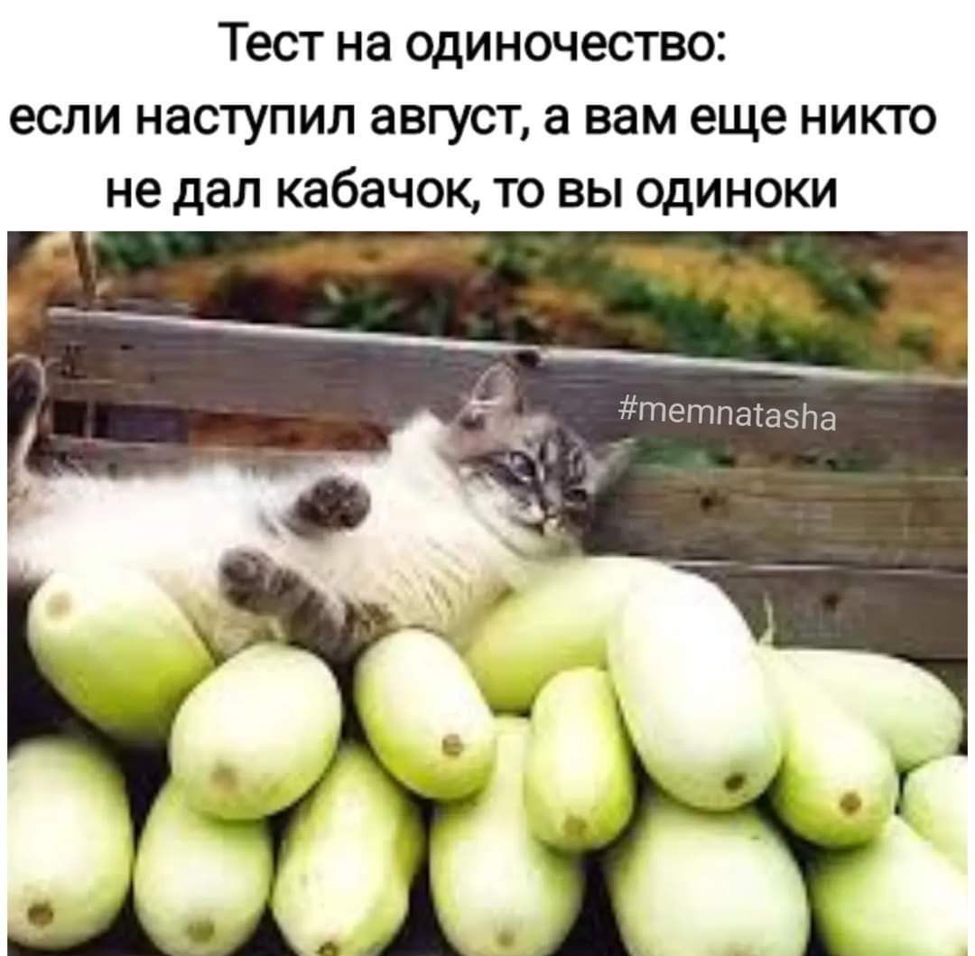 Тест на одиночество ЕСЛИ наступил август а вам еще НИКТО не дал кабачок ТО ВЫ ОДИНОКИ _