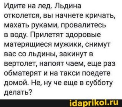 Идите на лед Пьдина отколется вы начнете кричать махать руками провалитесь в воду Прилетят здоровые матерящиеся мужики снимут вас со льдины закинут в вертолет напоят чаем еще раз обматерят и на такси поедете домой Не ну че еще в субботу делать