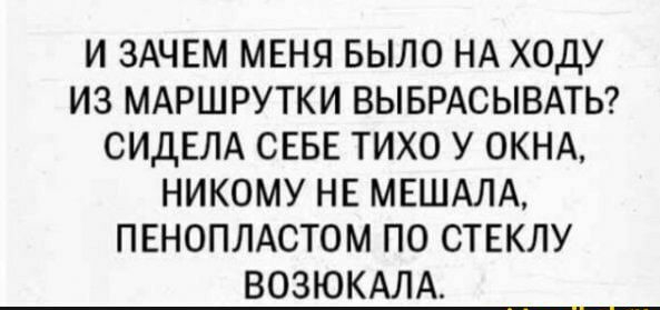 И ЗАЧЕМ МЕНЯ БЫЛО НА ХОДУ ИЗ МАРШРУТКИ ВЫБРАСЫВАТЬ СИДЕЛА СЕБЕ ТИХО У ОКНА НИКОМУ НЕ МЕШАЛА ПЕНОПЛАСТОМ ПО СТЕКЛУ ВОЗЮКАЛА _