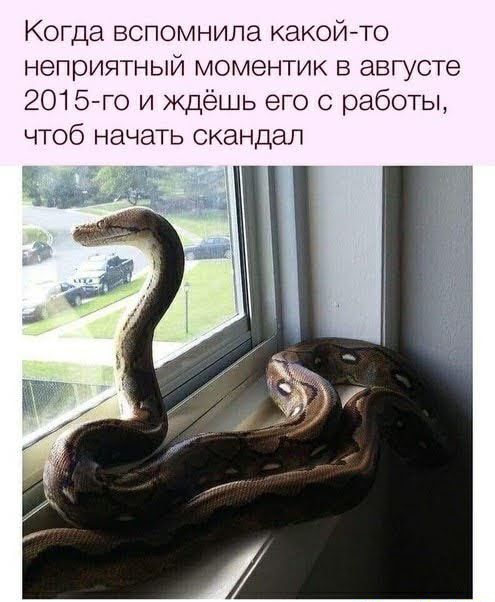 Когда вспомнила какойто неприятный моментик в августе 2015го и ждёшь его с работы чтоб начать скандал