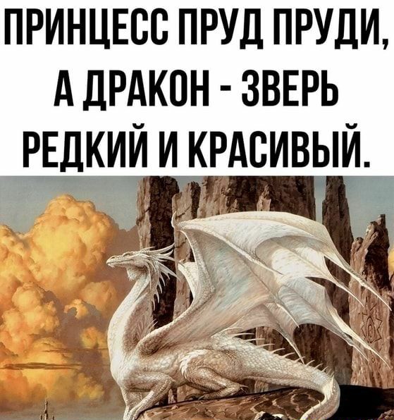 ПРИНЦЕСС ПРУД ПРУДИ А ДРАКОН ЗВЕРЬ РЕДКИЙ И КРАСИВЫЙ ЛЧ _ 329 Г 1 т