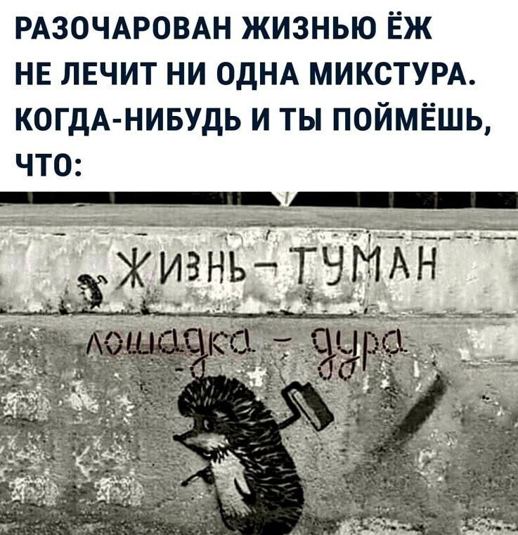 РАЗОЧАРОВАН жизнью Ёж НЕ лвчит ни ОДНА МИКСТУРА когдА нивудь и ты поймёшь что
