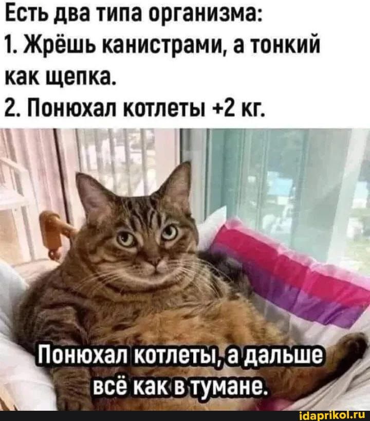 Евть два типа организма 1 Жрёшь канистрами а тонкий как щенка 2 Понюхал котлеты 2 кг ЁЗа ПОНЮХЗП КОТЛЕТЫЗ дальше всё как В ТУМЗНЕ