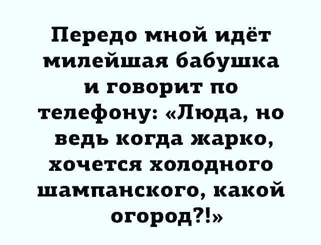 Передо мной идёт мипейшая бабушка и говорит по телефону Люда но ведь когда жарко хочется холодного шампанского какой огород