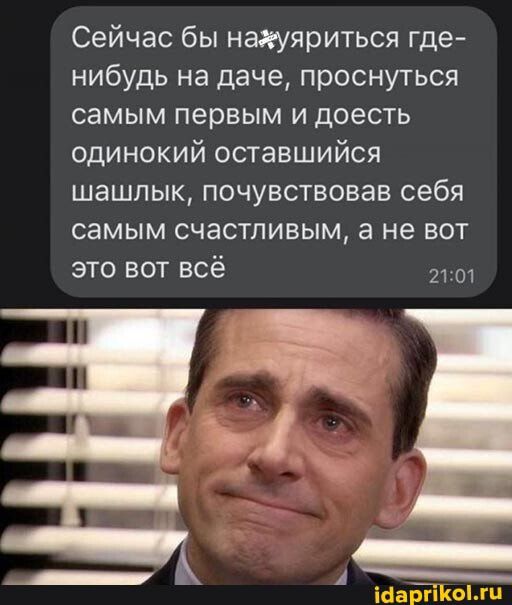 Сейчас бы нахуяриться где нибудь на даче проснуться самым первым и доесть одинокий оставшийся шашлык почувствовав себя самым счастливым а не вот это вот всё 2 51
