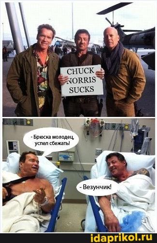 тд Бвюкамолодвц А успепсееиаты