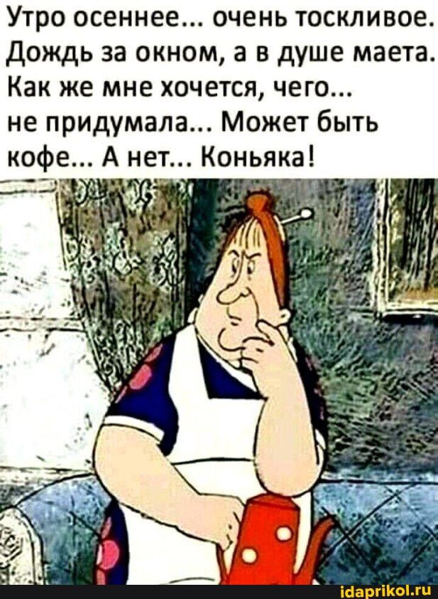 Утро осеннее очень тоскливое дождь за окном а в душе маета Как же мне хочется чего не придумала Может быть А нет Коньяка Ша гіКоии
