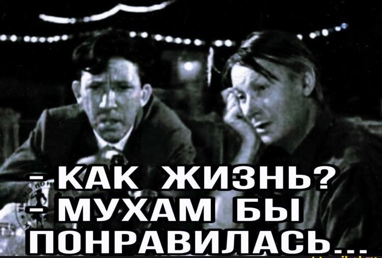 СЁКАК жизнь Муйдмівыі понрдвилдсь__ Илит м3