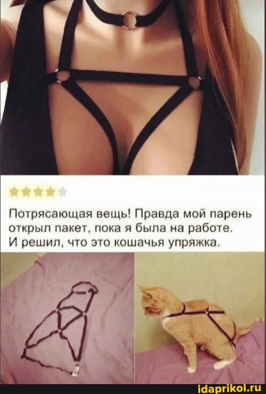Потрясающая вещь Правда мой парень открыл пакет пока я была на работе И решил что это кошачья упряжке