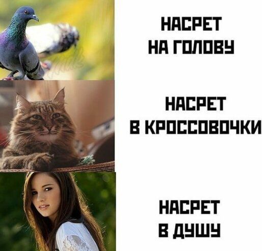 НПЕРЕТ НПГПЛПВН НПБРЕТ