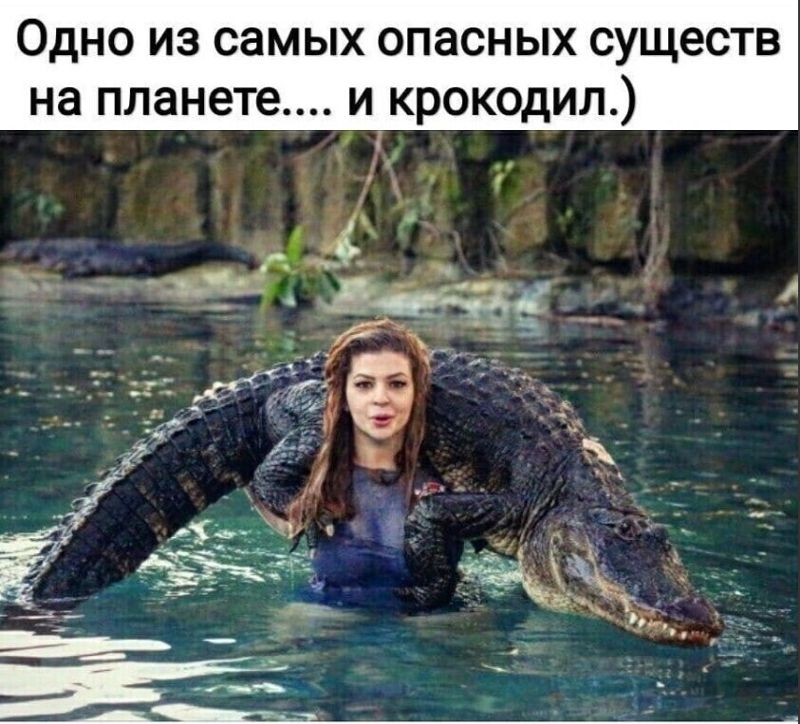 Одно из самых опасных существ и крокодил