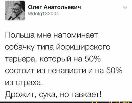 _ Олег Анатольевич шт 32004 Польша мне напоминает собачку типа йоркширского терьера который на 50 состоит из ненависти и на 50 из страха Дрожит сука но гавкает _