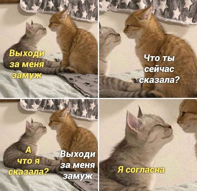 за МЕНЯ зам ЖР