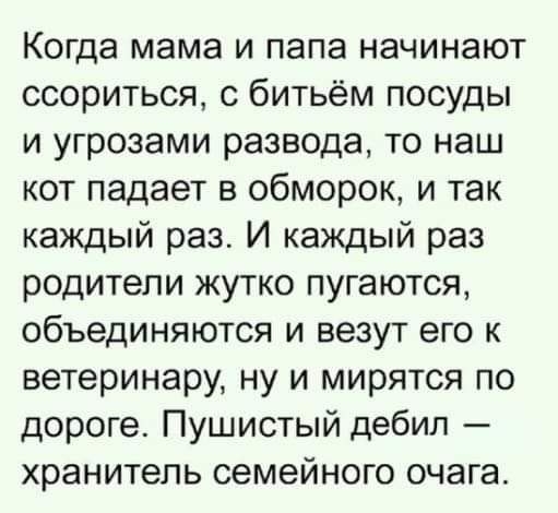 Когда мама и папа начинают ссориться с битьём посуды и угрозами развода то наш кот падает в обморок и так каждый раз И каждый раз родители жутко пугаются объединяются и везут его к ветеринару ну и мирятся по дороге Пушистый дебил хранитель семейного очага