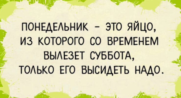 тт 771 ПОНЕАЕАЬНИК это яйцо из которого со ВРЕМЕНЕМ ВЫАЕЗЕТ СУББОТА 4 ТОАЬКО ЕГО ВЫСИАЕТЬ НАДО і ___ _ 1