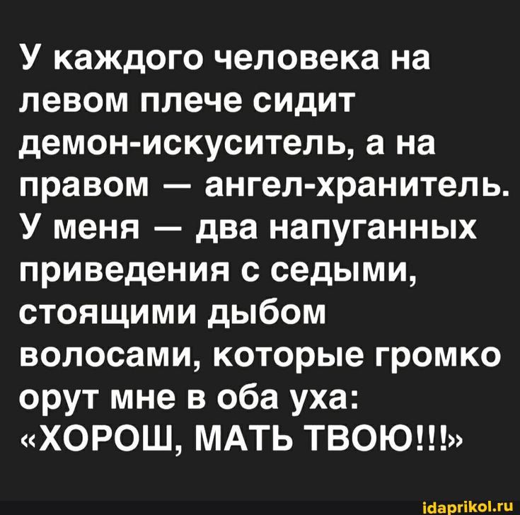 У каждого человека на левом плече сидит демон искуситель а на правом ангел хранитель У меня два напуганных приведения с седыми стоящими дыбом волосами которые громко орут мне в оба уха хорош МАТЬ ТВОЮ шашки