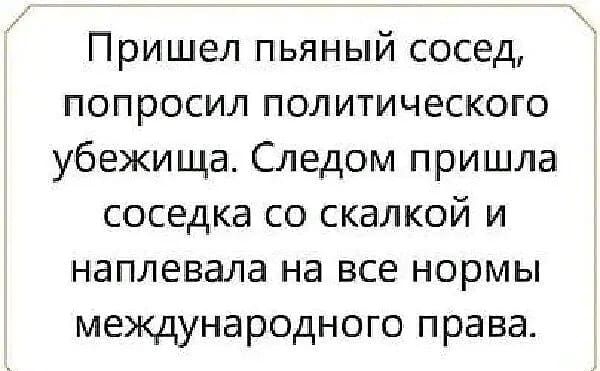 Пришел пьяный сосед попросил политического убежища Следом пришла соседка со скалкой и наплевала на все нормы международного права