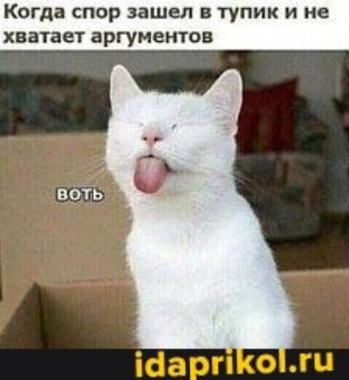 Когда спор зашел в тупик и не хватает аргументов
