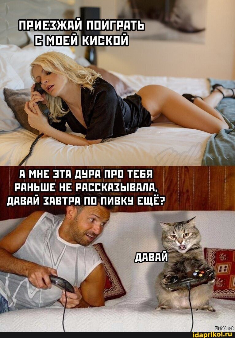 приезжай ппшдпть вмпви кивкпи я мн эти дни пи тени пиши на пппскпкывппп дпвпй пнтпп пп пивкн ЕЩЁ