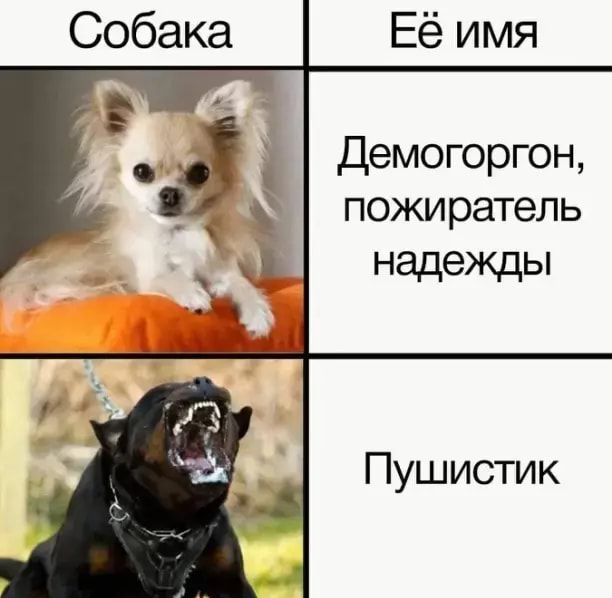 Демогоргон пожиратель надежды Пушистик