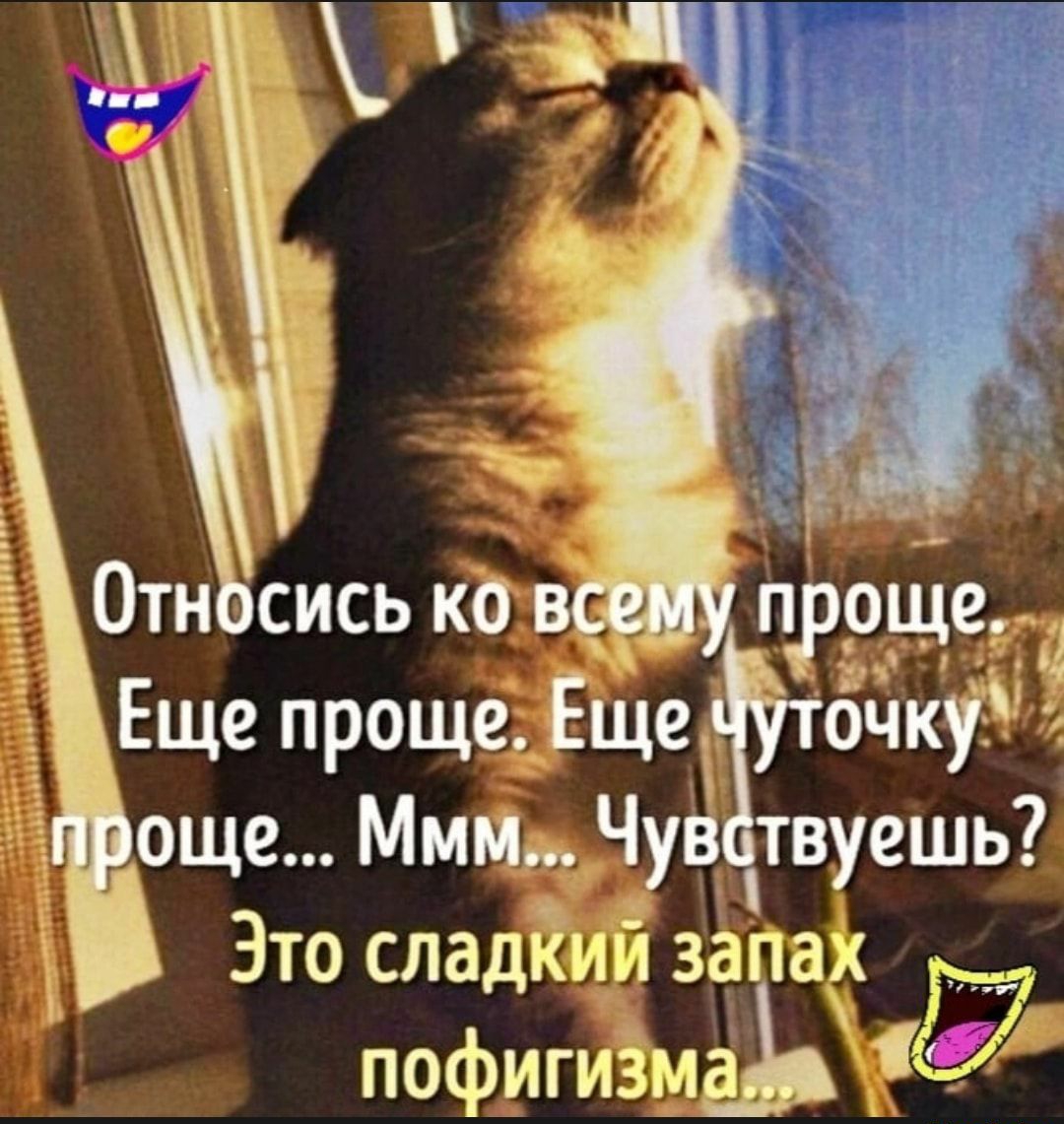 Это сладкий запах пофигизма