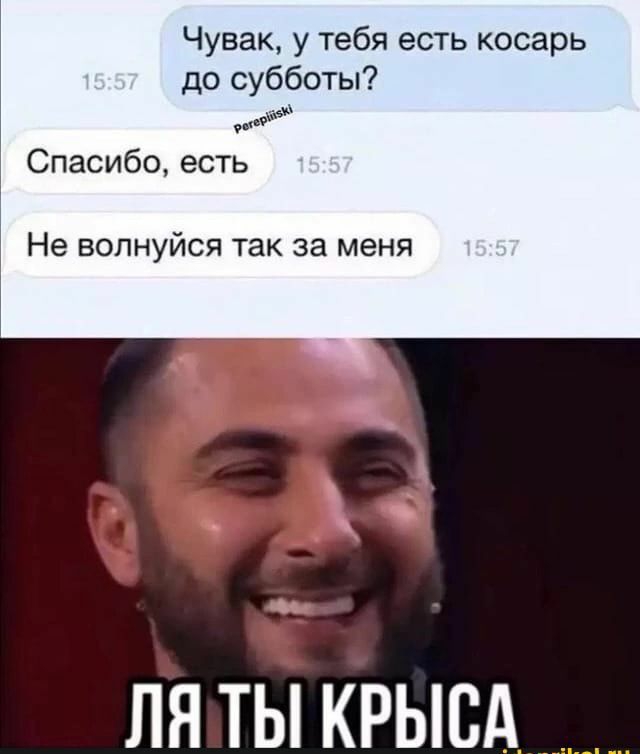 Чувак у тебя есть косарь до субботы Спасибо есть Не волнуйся так за меня ЛЯ ТЫ КРЫСА терпит