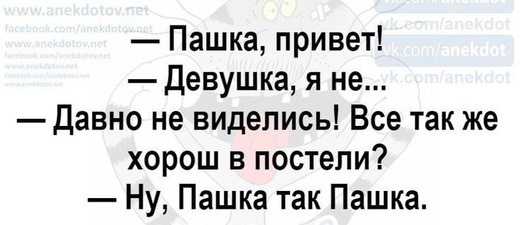 Пашка привет Девушка я не Давно не виделись Все так же хорош в постели Ну Пашка так Пашка