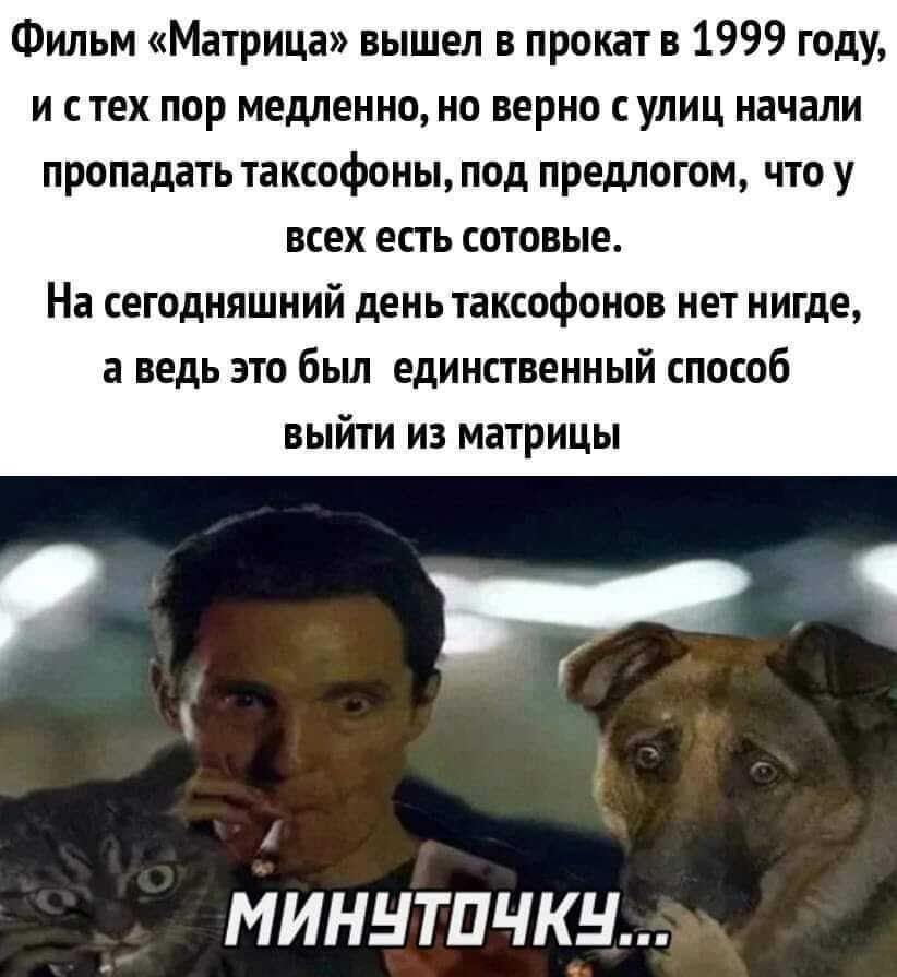 Фильм Матрица вышел в прокат в 1999 году и с тех пор медленно но верно улиц начали пропадать таксофоны под предлогом что у ВСЕХ ЕСТЬ СОТОБЫЪ На сегодняшний день таксифонов нет нигде а ведь это бьш единственный способ выйти из матрицы в 1 Миннтпчкн нашим