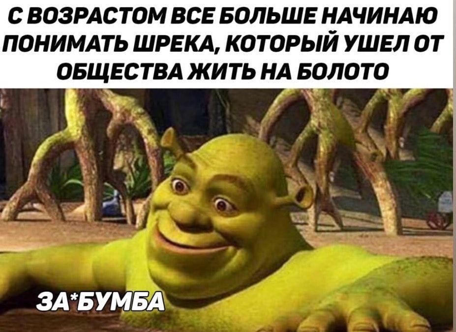 ВОЗРАС ТОМ ВСЕ БОЛЬШЕ НАЧИНАЮ ПОНИМАТЬ ШРЕКА КОТОРЫЙ УШЕЛ ОТ ОБЩЕСТВА ЖИТЬ НА БОЛОТО ЗАБУМБА