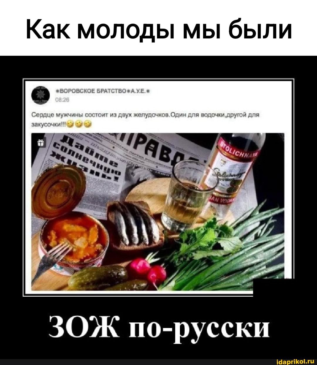 Зож смешные картинки