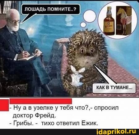 Ну а в уголке у тебЁч что спросил доктор Фрейд Грибы тихо ответил Ежик Шарп гц