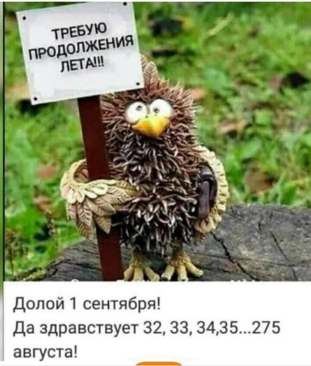 Долой 1 сентября Да здравствует 32 33 3435275 августа