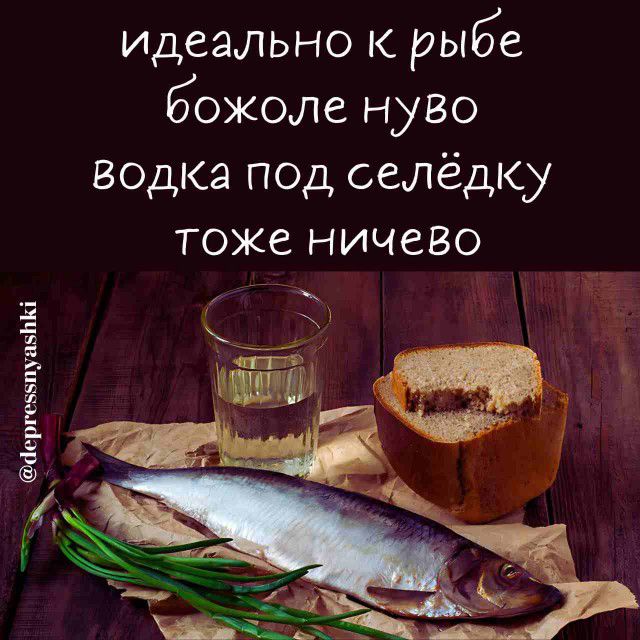 идеально к рыбе божоле нуво водка под селёдку тоже ничево дергевзпуавПК