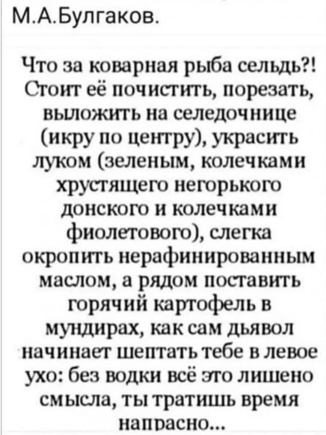 МАБулгаков Что за коварная рыба сельдь Стоит её почистить порезать выложить на селедочнице икру по центру украсить луком зеленым колечками хрустящего негорького донского и колечками фиолетового слегка окропить нерафинированным маслом а рядом поставить горячий картофель в мундирах как сам дьявол начинает шептать тебе в левое ухо без водки всё это ли