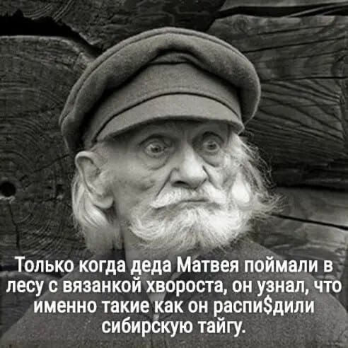 Толькокогда Ё_Ёда Матвея піЪщ_ лесу сивязанкой хвороста он узнал именно такие Как он распидил сибирёкую тайгу