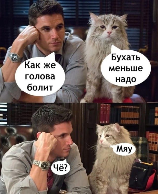 Бухать меньше надо голова болит