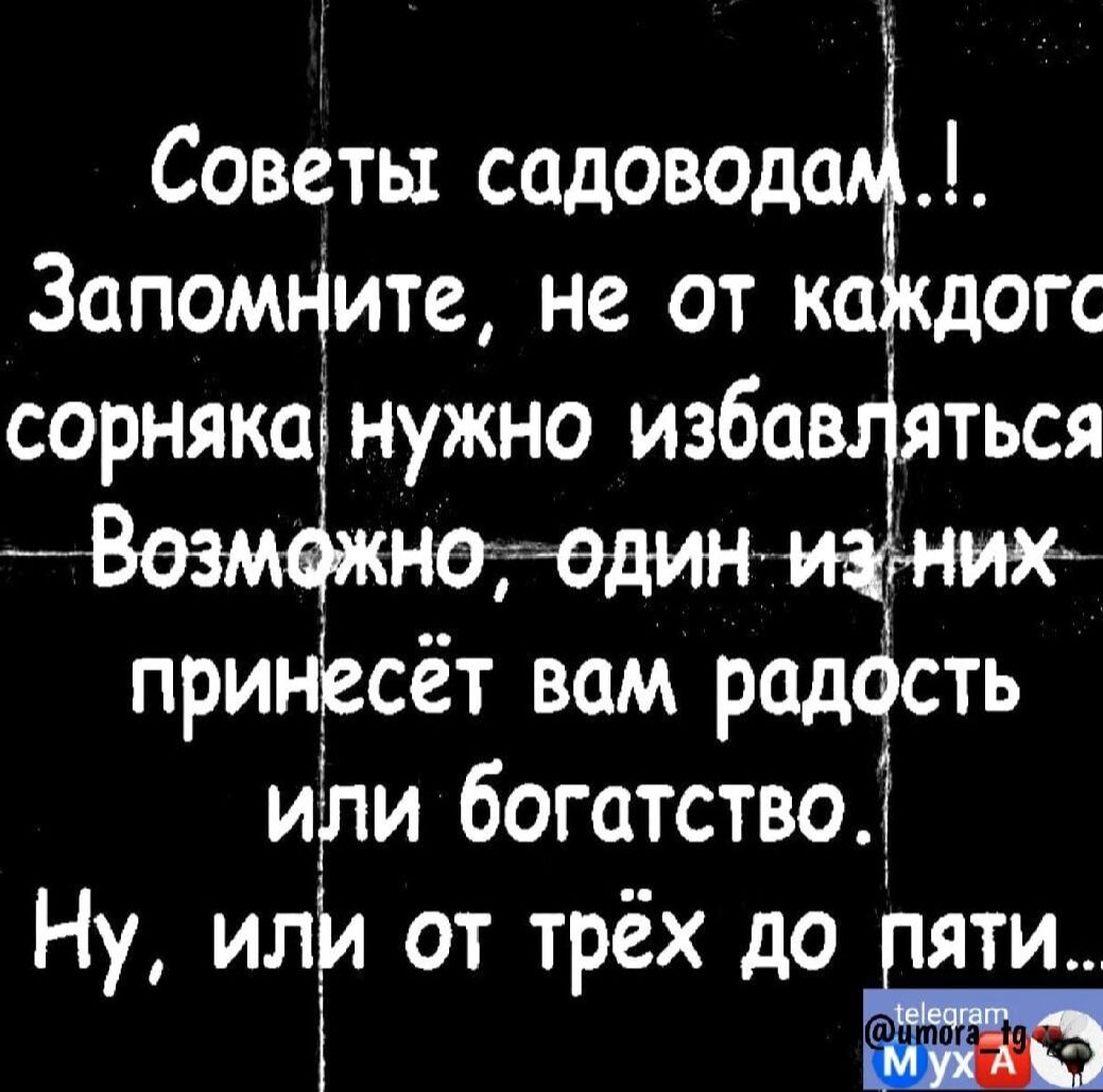 Советы садоводам..! Запомните, не от каждого сорняка нужно избавляться. Возможно, один из них принесёт вам радость или богатство. Ну, или от трёх до пяти..