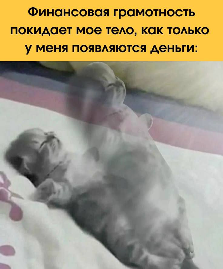 Финансовая грамотность покидает мое тело, как только у меня появляются деньги:
