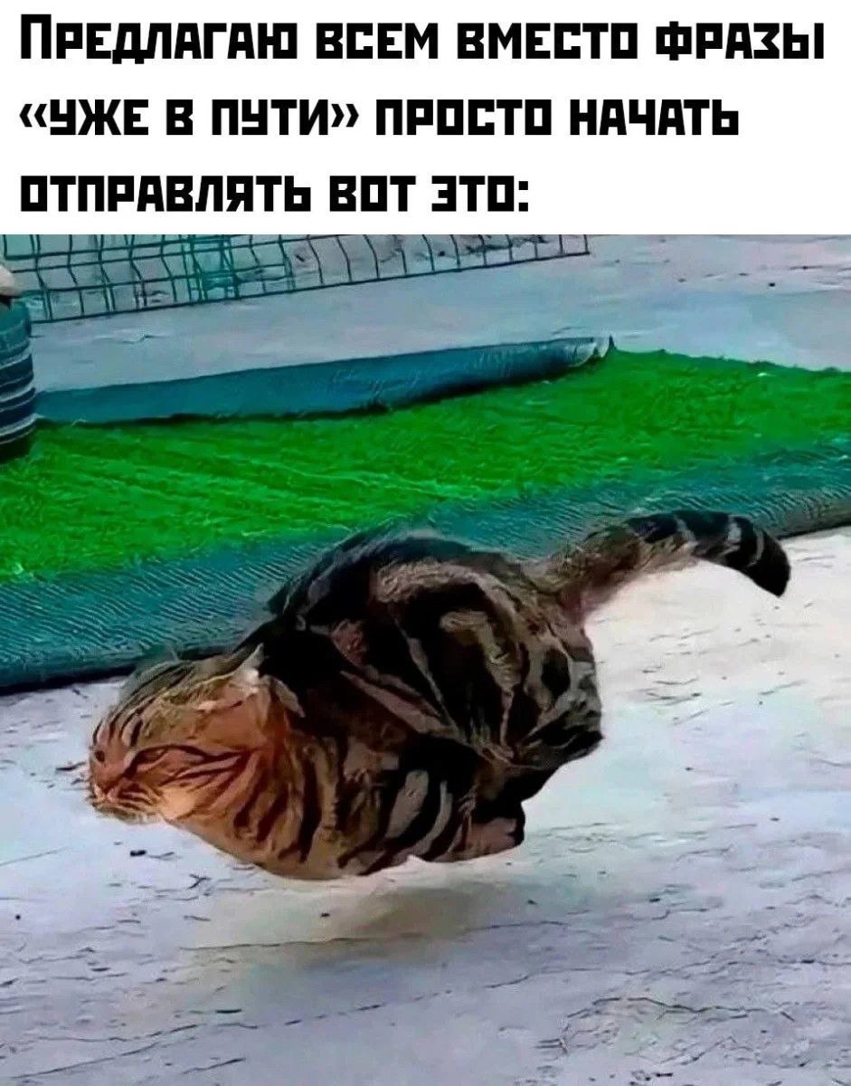 Предлагаю всем вместо фразы «ужЕ в пути» просто начать отправлять вот это: