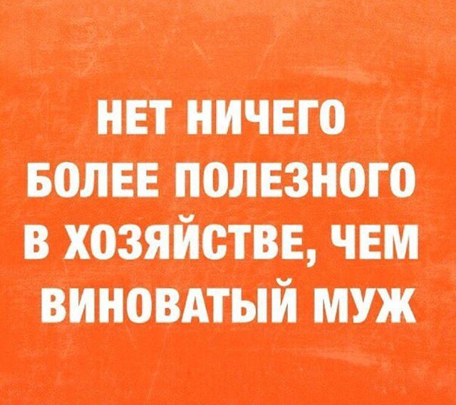 НЕТ НИЧЕГО БОЛЕЕ ПОЛЕЗНОГО В ХОЗЯЙСТВЕ, ЧЕМ ВИНОВАТЫЙ МУЖ