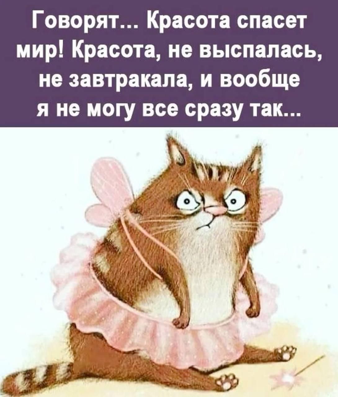 Говорят… Красота спасет мир! Красота, не выспалась, не завтракала, и вообще я не могу все сразу так...