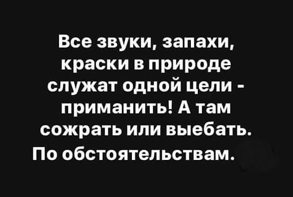 Все звуки, запахи, краски в природе служат одной цели - приманить! А там сожрать или выебать. По обстоятельствам.