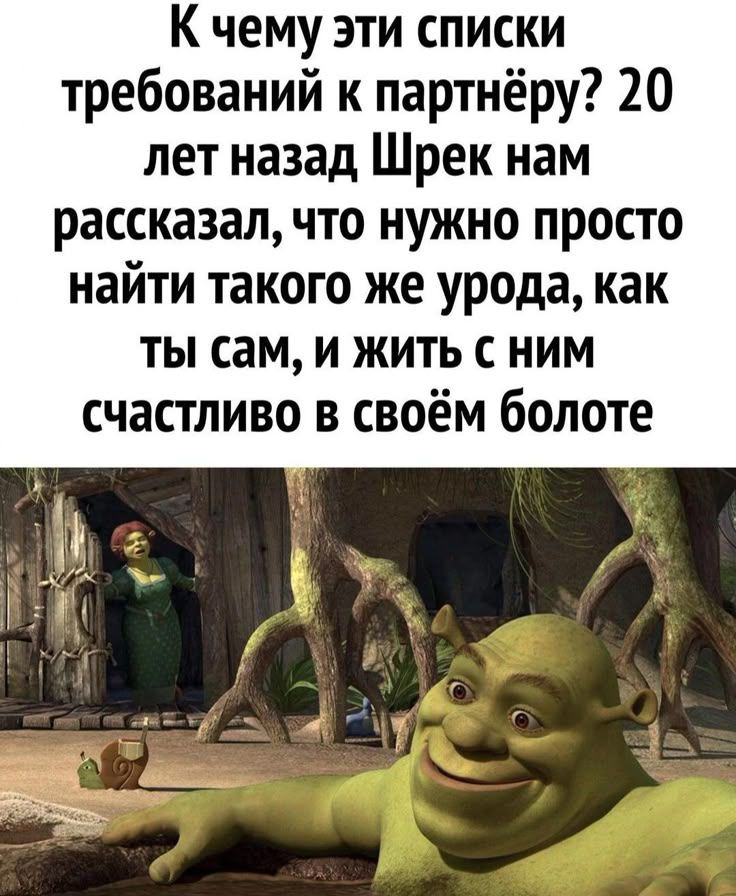 К чему эти списки требований к партнёрку? 20 лет назад Шрек нам рассказал, что нужно просто найти такого же урода, как ты сам, и жить с ним счастливо в своём болоте.