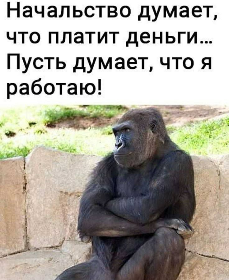 Начальство думает, что платит деньги... Пусть думает, что я работаю!