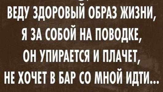 ВЕДУ ЗДОРОВЫЙ ОБРАЗ ЖИЗНИ, Я ЗА СОБОЙ НА ПОВОДКЕ, ОН УПИРАЕТСЯ И ПЛАЧЕТ, НЕ ХОЧЕТ В БАР СО МНОЙ ИДТИ...