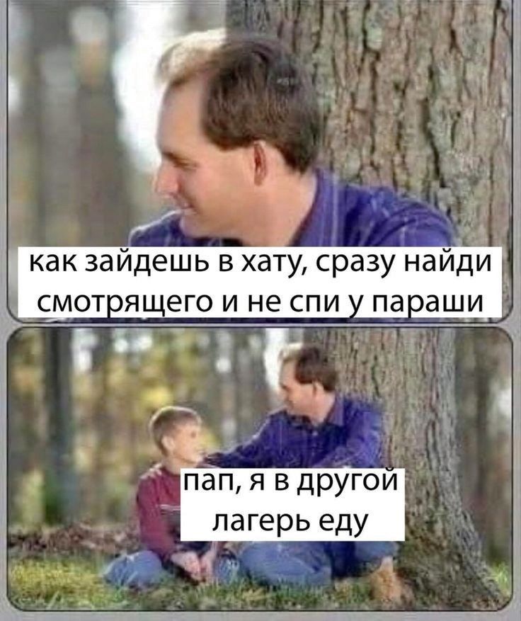 как зайдёшь в хату, сразу найди смотрящего и не спи у параши
пап, я в другой лагерь еду