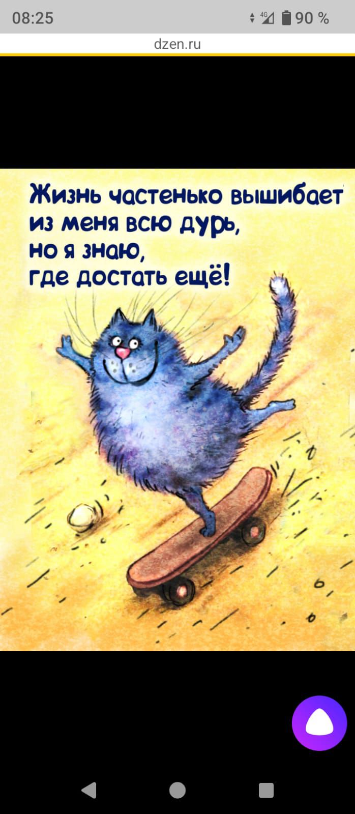 Жизнь частенько вышибает из меня всю дурь, но я знаю, где достать ещё!