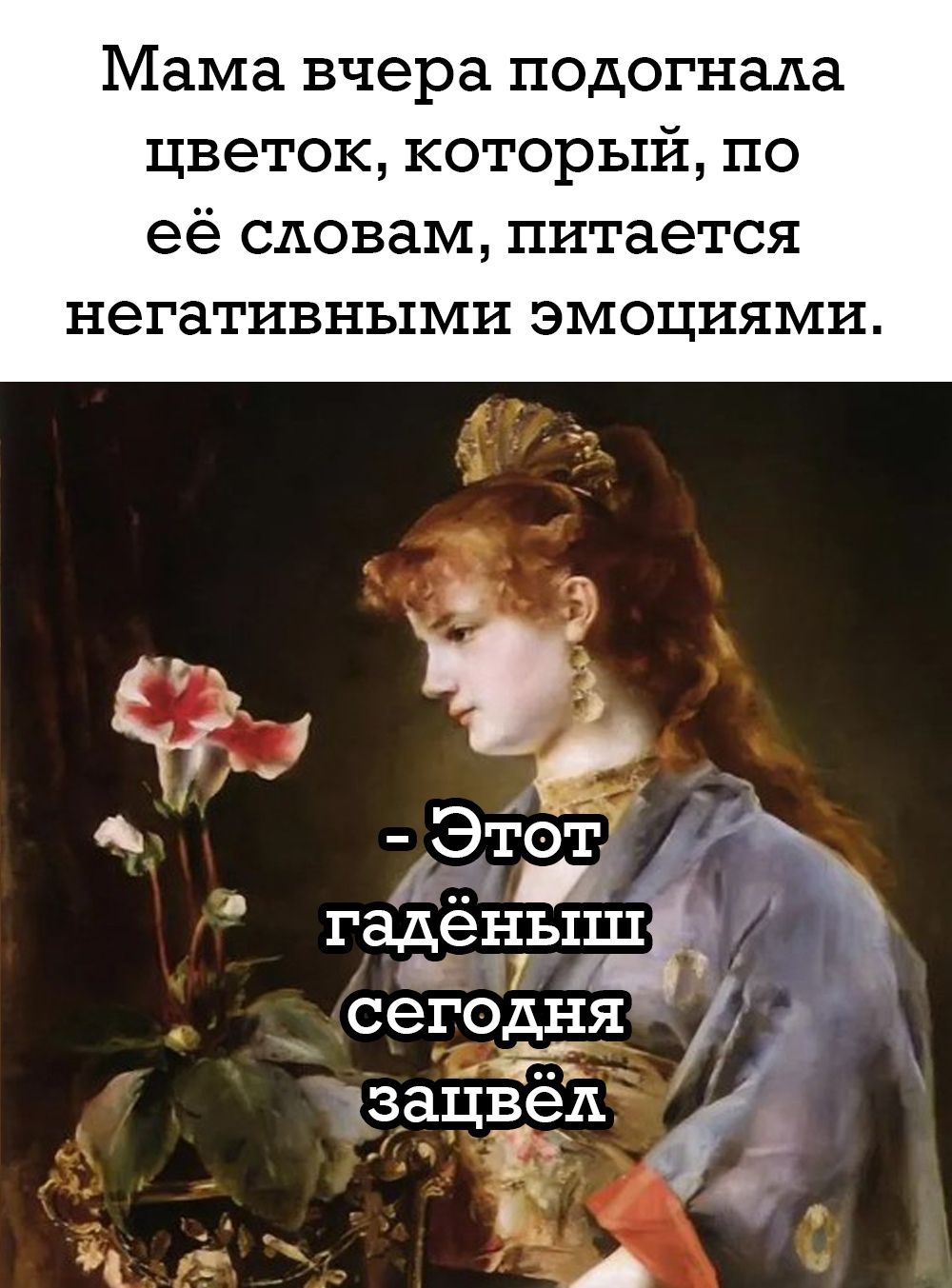 Мама вчера подогнала цветок, который, по её словам, питается негативными эмоциями.

- Этот гадёныш сегодня зацвёл