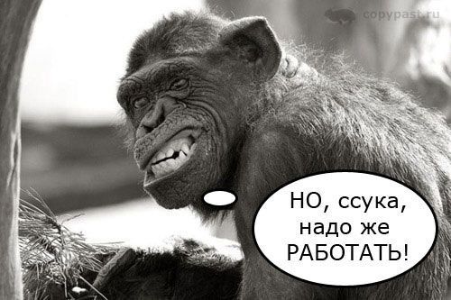 НО, ссука, надо же РАБОТАТЬ!