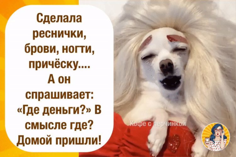 Сделала реснички, брови, ногти, прическу....
А он спрашивает: «Где деньги?» В смысле где? Домой пришли!